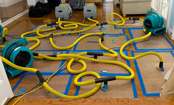 Professional Crawl Space Water Removal technician working in Valatie, NY